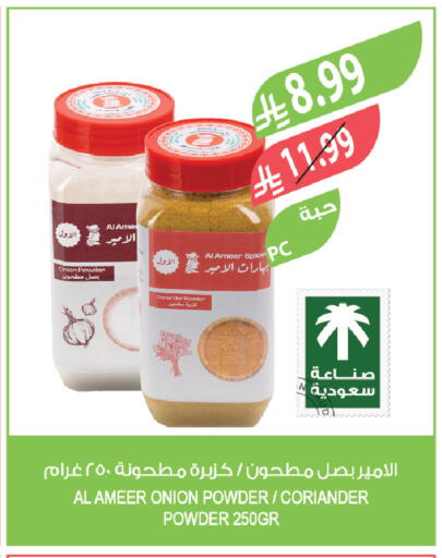 Coriander Onion available at المزرعة in مملكة العربية السعودية, السعودية, سعودية - الباحة