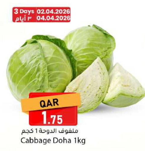 Cabbage from Qatar available at دانا ماركت in قطر - الشحانية