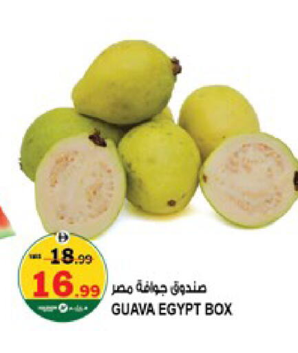 Guava from Egypt available at Hashim Hypermarket in UAE - Sharjah / Ajman