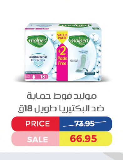 available at اكسبشن ماركت in Egypt - القاهرة