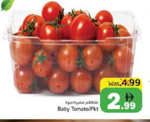 Tomato available at مجموعة باسونس in الإمارات العربية المتحدة , الامارات - ٱلْفُجَيْرَة‎