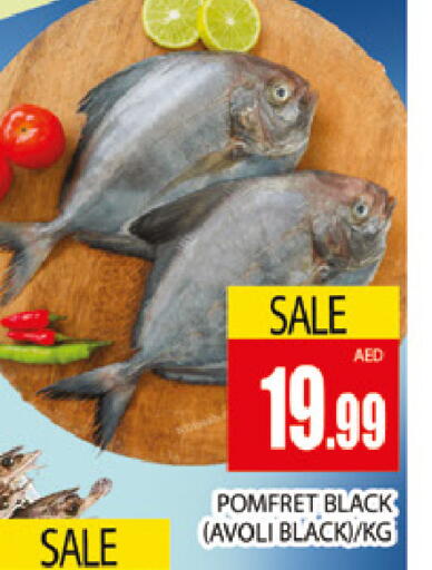 available at المدينة in الإمارات العربية المتحدة , الامارات - دبي