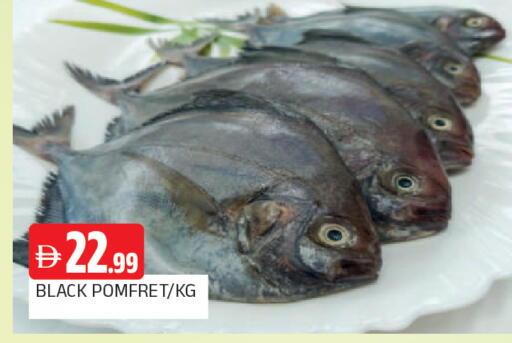 available at AL MADINA in UAE - Sharjah / Ajman