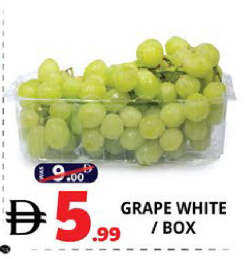 available at اكسبرس المدينة هايبرماركت in الإمارات العربية المتحدة , الامارات - أبو ظبي