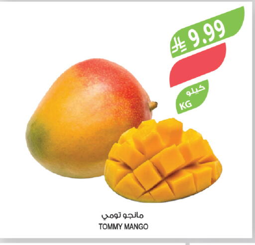 Mango available at Farm  in KSA, Saudi Arabia, Saudi - Jazan