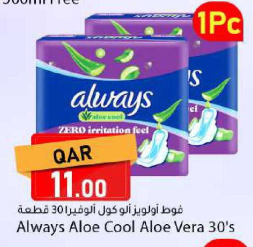 available at دانا ماركت in قطر - الشحانية