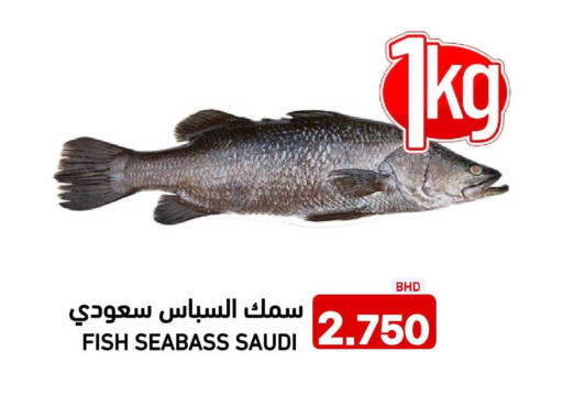 available at رامــز in البحرين