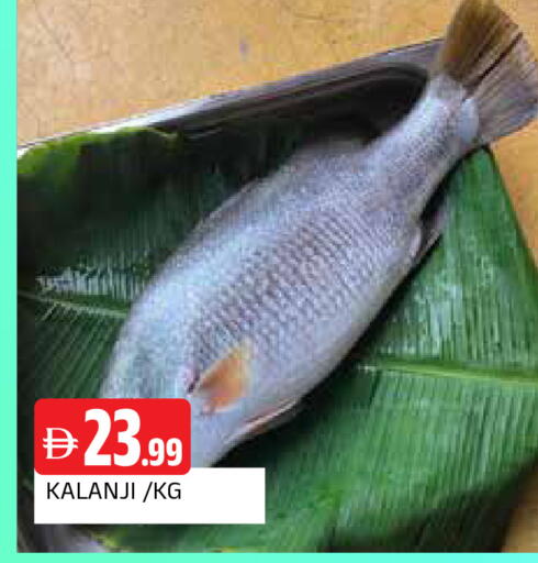 available at المدينة in الإمارات العربية المتحدة , الامارات - الشارقة / عجمان