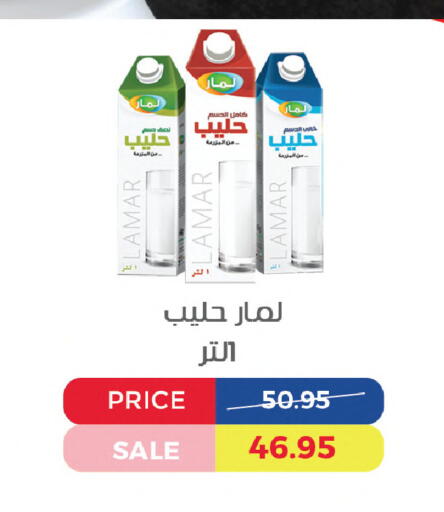 available at اكسبشن ماركت in Egypt - القاهرة