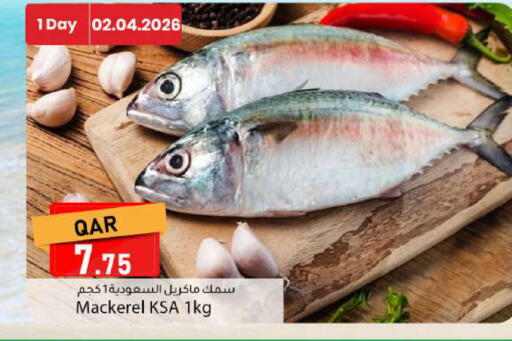 available at Dana Market in Qatar - Al Rayyan