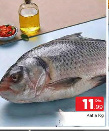 available at المدينة in الإمارات العربية المتحدة , الامارات - دبي