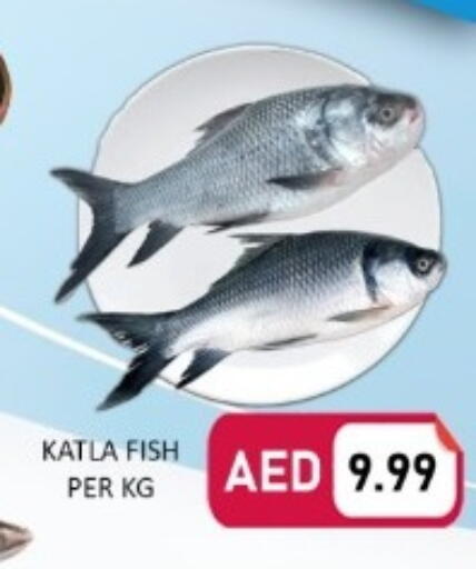 available at متجر الهدايا الخضراء in الإمارات العربية المتحدة , الامارات - أبو ظبي