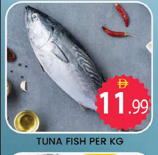 available at المدينة in الإمارات العربية المتحدة , الامارات - دبي