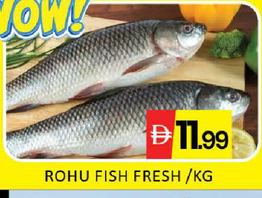 Mango available at مانجو هايبرماركت in الإمارات العربية المتحدة , الامارات - دبي