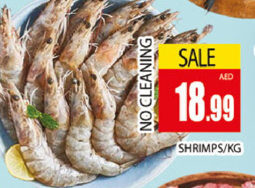 available at المدينة in الإمارات العربية المتحدة , الامارات - دبي