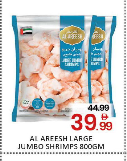 Mango available at مانجو هايبرماركت in الإمارات العربية المتحدة , الامارات - دبي