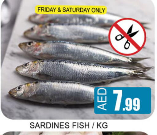 available at لكي سنتر in الإمارات العربية المتحدة , الامارات - الشارقة / عجمان