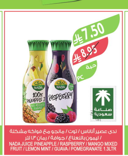 Raspberry Apple Pineapple Mango Lemon Guava Pomegranate Mint available at Farm  in KSA, Saudi Arabia, Saudi - Arar