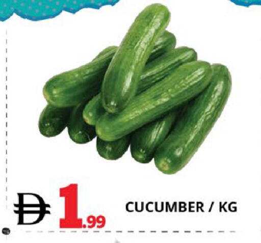 Cucumber available at اكسبرس المدينة هايبرماركت in الإمارات العربية المتحدة , الامارات - أبو ظبي