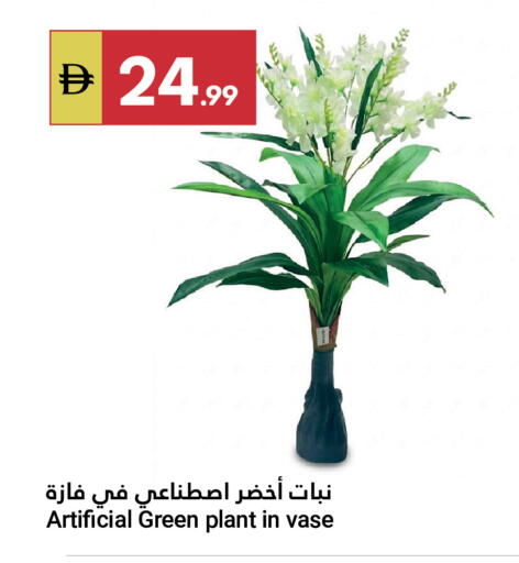 available at Grand Emirates Market in UAE - Abu Dhabi