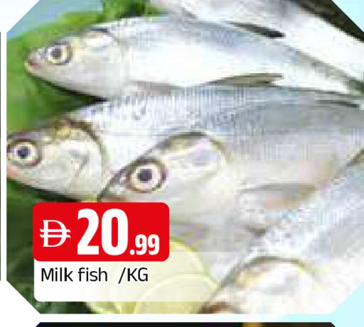 available at المدينة in الإمارات العربية المتحدة , الامارات - الشارقة / عجمان