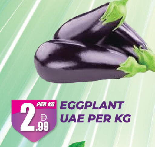 Eggplant available at دريم لاند in الإمارات العربية المتحدة , الامارات - دبي