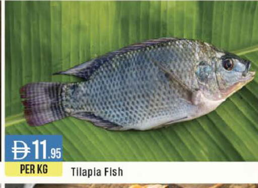 available at ويست زون سوبرماركت in الإمارات العربية المتحدة , الامارات - دبي