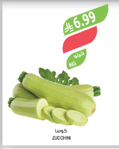 Zucchini available at المزرعة in مملكة العربية السعودية, السعودية, سعودية - سيهات