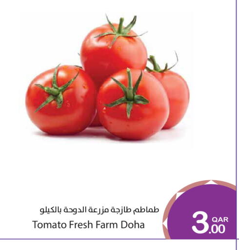 Tomato from Qatar available at ميغا مارت in قطر - الخور