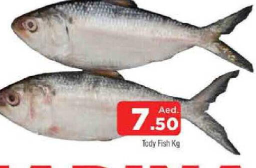 available at المدينة in الإمارات العربية المتحدة , الامارات - الشارقة / عجمان