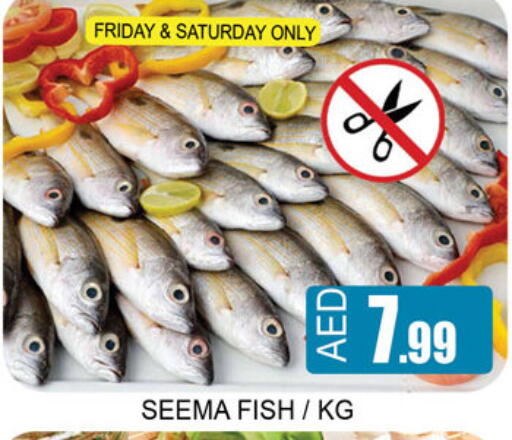 available at لكي سنتر in الإمارات العربية المتحدة , الامارات - الشارقة / عجمان