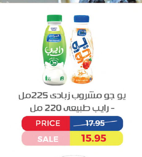 available at Exception Market in Egypt - Cairo