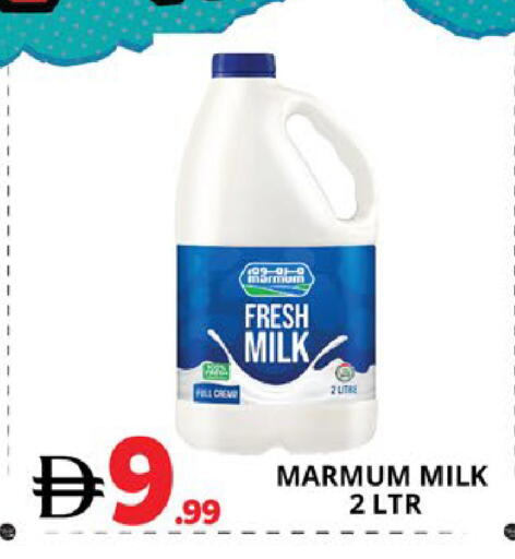 available at اكسبرس المدينة هايبرماركت in الإمارات العربية المتحدة , الامارات - أبو ظبي