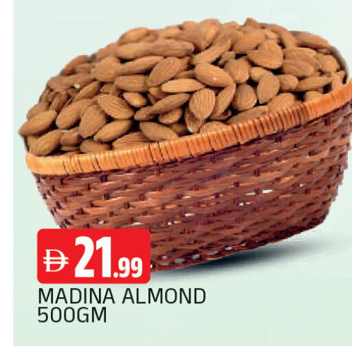 available at المدينة in الإمارات العربية المتحدة , الامارات - الشارقة / عجمان