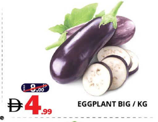Eggplant available at اكسبرس المدينة هايبرماركت in الإمارات العربية المتحدة , الامارات - أبو ظبي