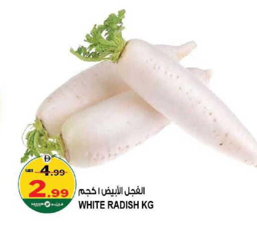 Radish available at هاشم هايبرماركت in الإمارات العربية المتحدة , الامارات - الشارقة / عجمان
