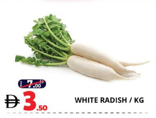 Radish available at اكسبرس المدينة هايبرماركت in الإمارات العربية المتحدة , الامارات - أبو ظبي