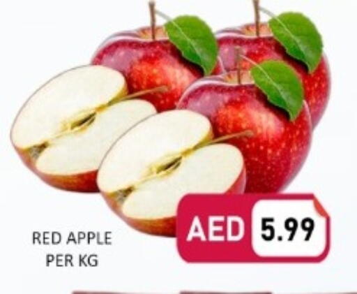 Apple available at GREEN GIFT DEPARTMENT STORE in UAE - Abu Dhabi