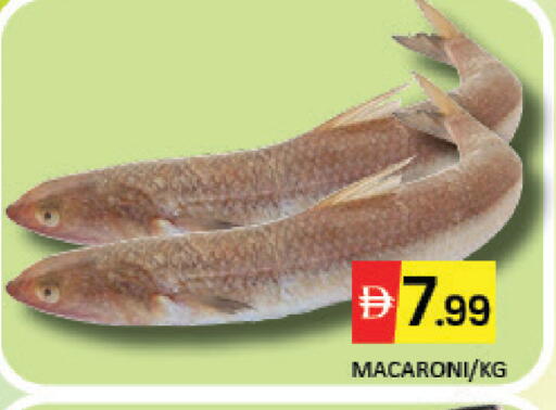 Mango available at Mango Hypermarket LLC in UAE - Dubai