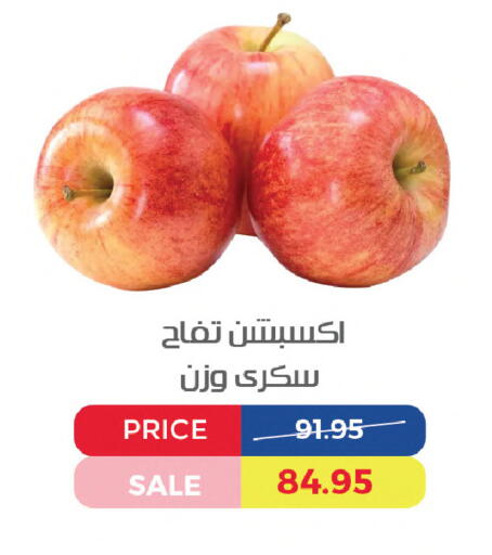 available at اكسبشن ماركت in Egypt - القاهرة
