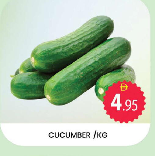 Cucumber available at المدينة in الإمارات العربية المتحدة , الامارات - دبي