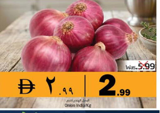 Onion from India available at PASONS GROUP in UAE - Fujairah