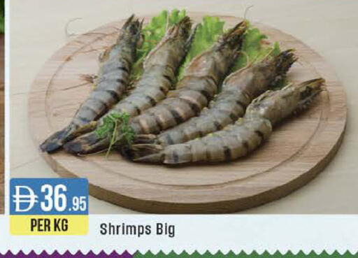 available at ويست زون سوبرماركت in الإمارات العربية المتحدة , الامارات - دبي