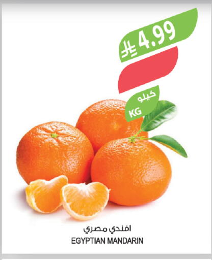 Mandarin from Egypt available at Farm  in KSA, Saudi Arabia, Saudi - Arar
