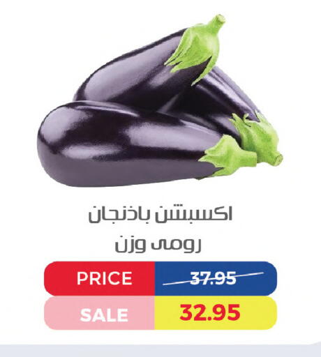 available at Exception Market in Egypt - Cairo