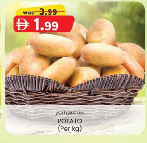 Potato available at الصفا in الإمارات العربية المتحدة , الامارات - ٱلْعَيْن‎