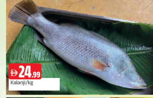 available at المدينة in الإمارات العربية المتحدة , الامارات - الشارقة / عجمان