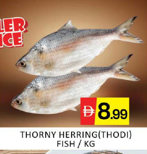 Mango available at مانجو هايبرماركت in الإمارات العربية المتحدة , الامارات - دبي