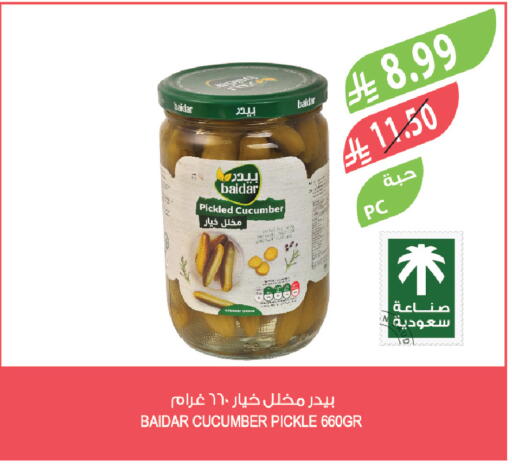 Cucumber available at Farm  in KSA, Saudi Arabia, Saudi - Jeddah