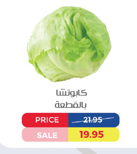 available at اكسبشن ماركت in Egypt - القاهرة